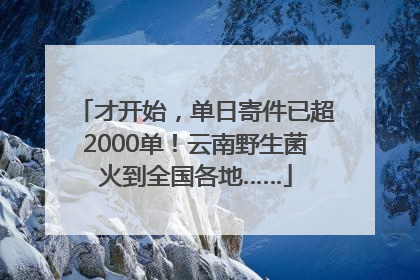 才开始，单日寄件已超2000单！云南野生菌火到全国各地……
